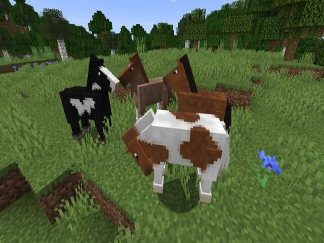 How to breed horses in minecraft